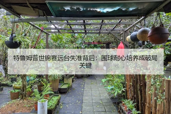 特鲁姆普世锦赛远台失准背后：围球耐心培养成破局关键