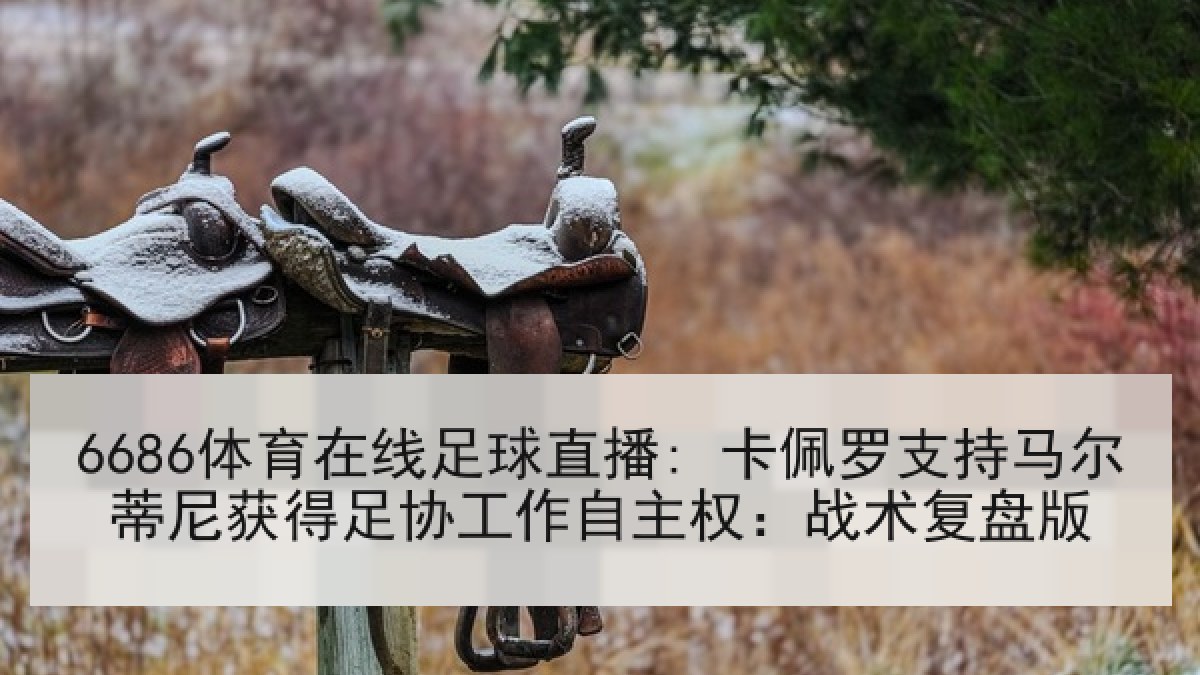 6686体育在线足球直播: 卡佩罗支持马尔蒂尼获得足协工作自主权：战术复盘版