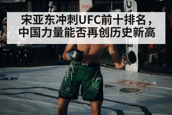 宋亚东冲刺UFC前十排名，中国力量能否再创历史新高