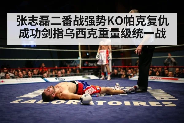 boxer knockout