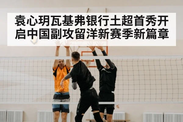 volleyball net block
